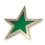 star.jpg (3599 bytes)